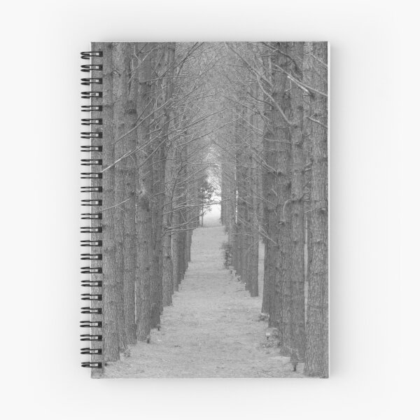 Item preview, Pine Path BW designed and sold by elasita.