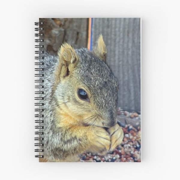Artikelvorschau, Feeding Squirrel entworfen und verkauft von David D. Shaw.
