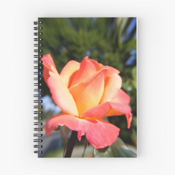 Item preview, Orange And Yellow Rose Bud designed and sold by Nancy Chambers.