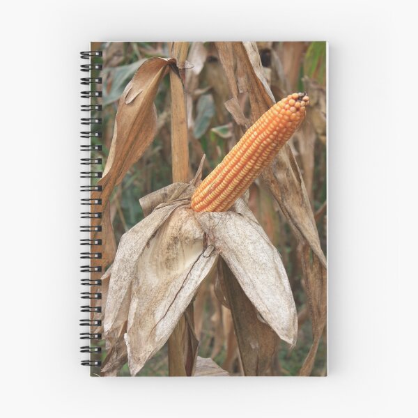 Item preview, Maize designed and sold by annalisa56.