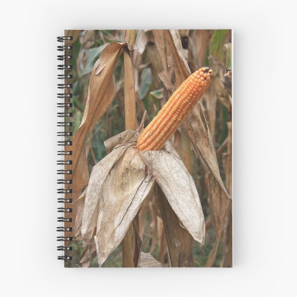 Item preview, Maize designed and sold by annalisa56.