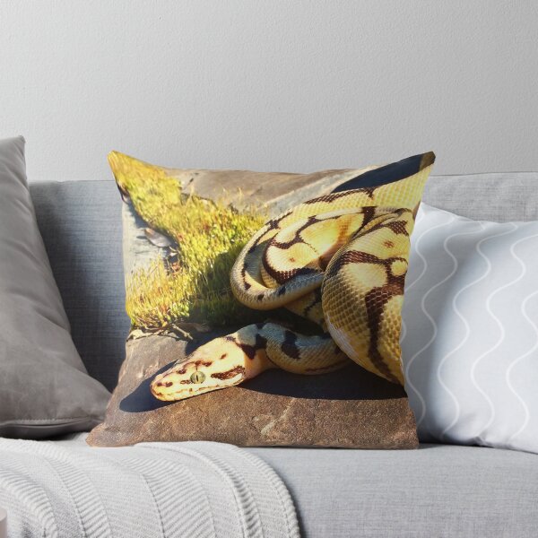 Item preview, Bumblebee ball python  designed and sold by dragongirl222.