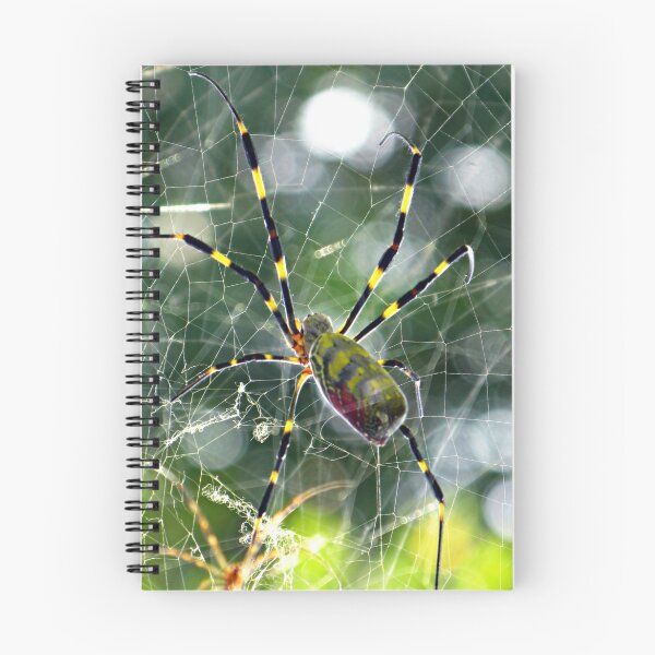 Item preview, A Web Full of Stars designed and sold by kibishipaul.