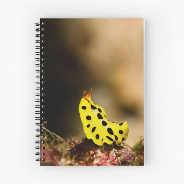 Item preview, Reach designed and sold by muzy.