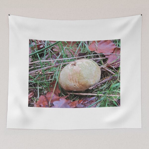Item preview, A Round Fungus designed and sold by lezvee.