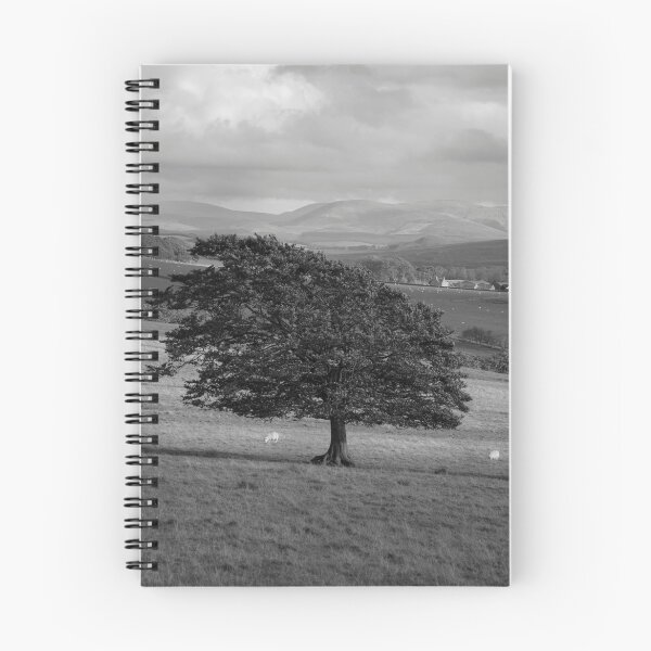 Item preview, Windswept designed and sold by Craig Maguire.