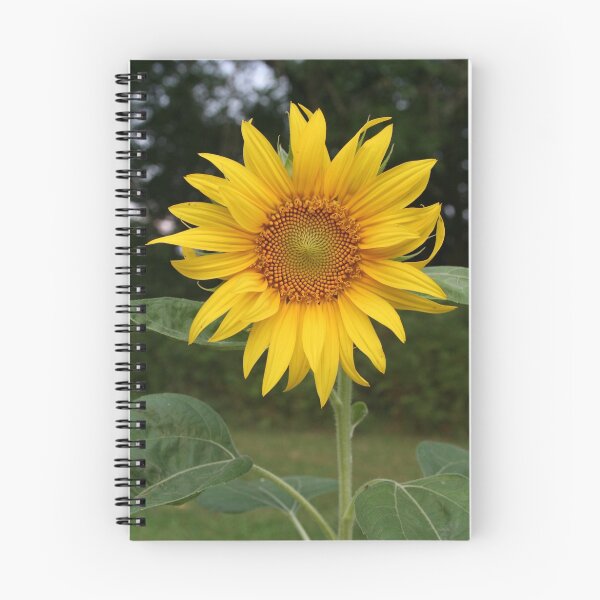 Item preview, Summer Sunflower designed and sold by Nadine  Birge.