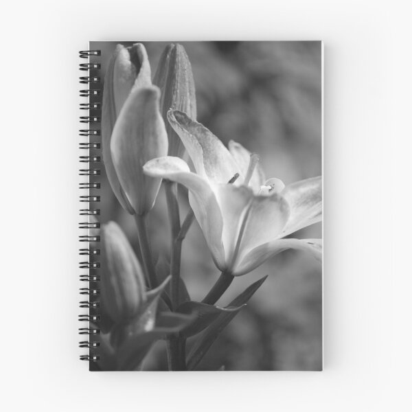 Item preview, Lily designed and sold by Roxanne Persson.