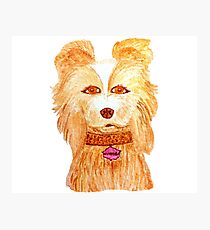 Isle of dogs - Nutmeg Photographic Print