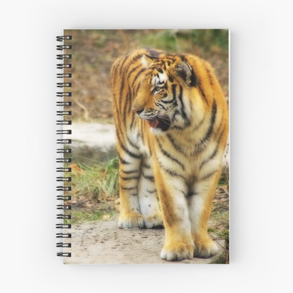 Artikelvorschau, Siberian Tiger entworfen und verkauft von Jeff Palm Photography.