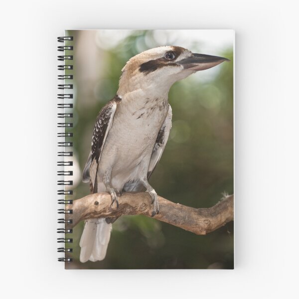 Item preview, Kookaburra designed and sold by Craig Hender.