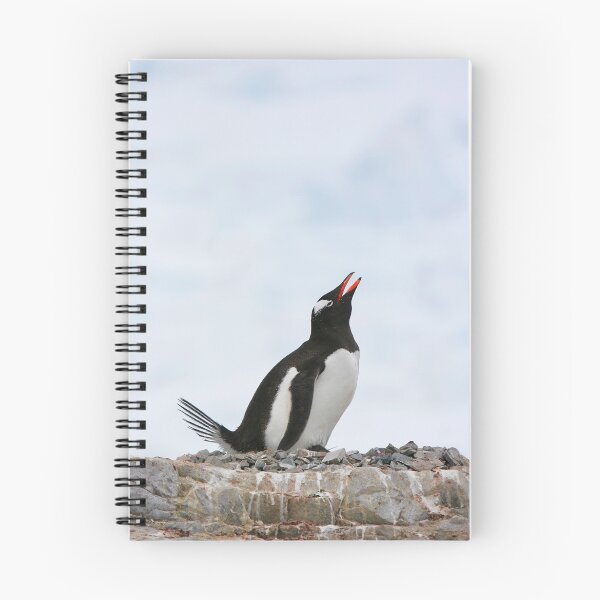 Item preview, Gentoo penguin designed and sold by Travelimages.com.au.