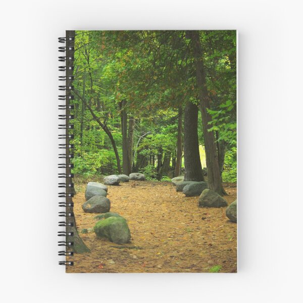 Item preview, A Path ............... designed and sold by Larry Llewellyn.