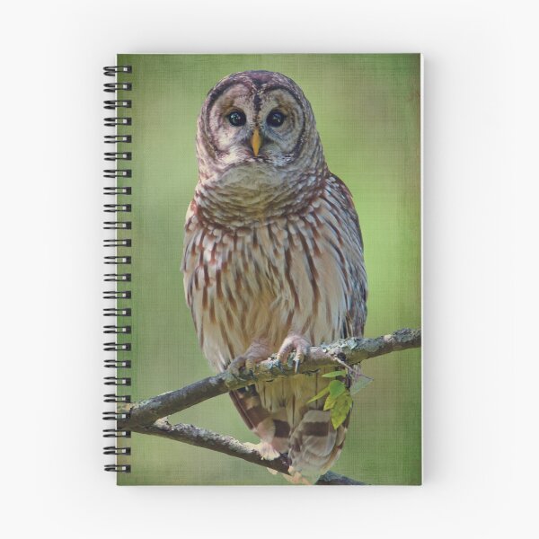 Item preview, Barred Owl in my Backyard designed and sold by Bonnie T.  Barry.