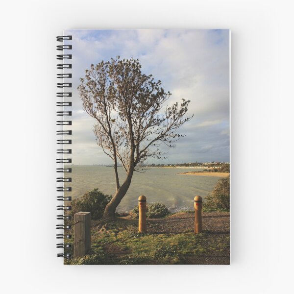 Item preview, Green Point designed and sold by Karen E Camilleri.