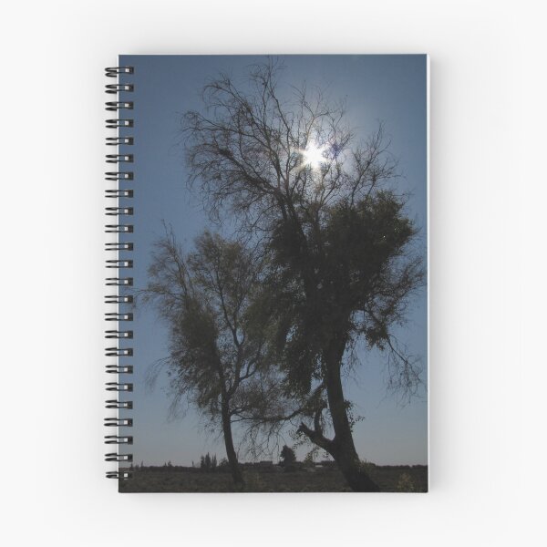 Item preview, Sun trap designed and sold by Hélène David-Cuny.