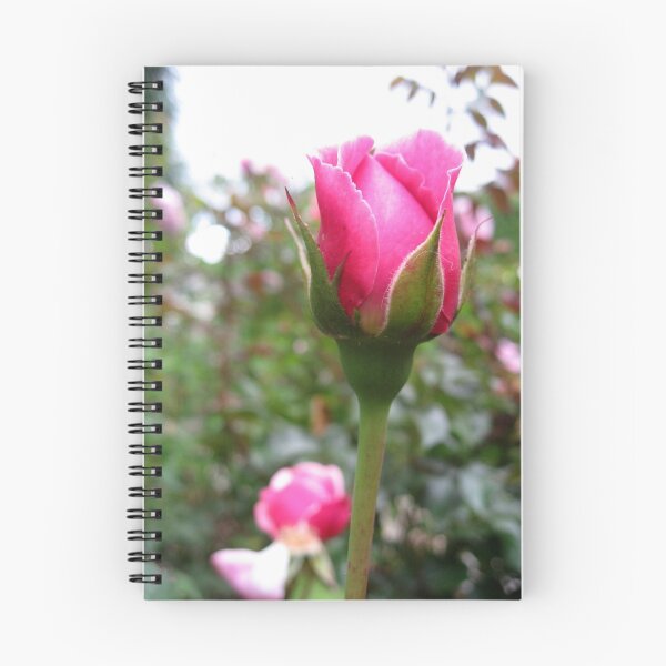Item preview, Baby Pink Rosebud No.2 designed and sold by Orla Cahill Photography.