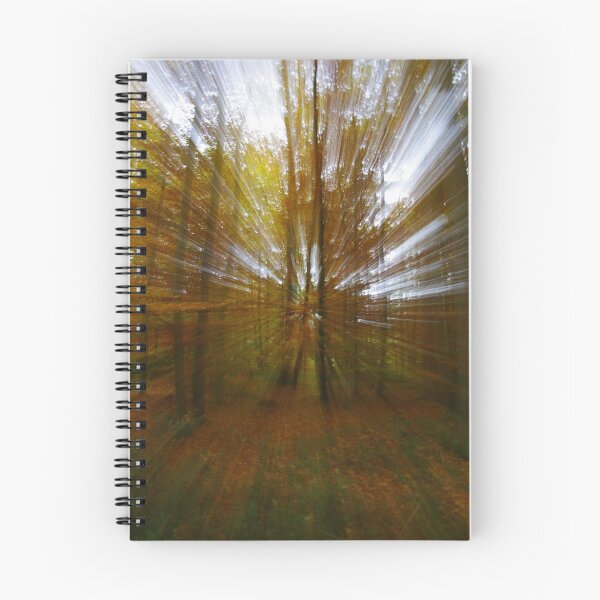 Item preview, Exploded forest designed and sold by Régis Charpentier.