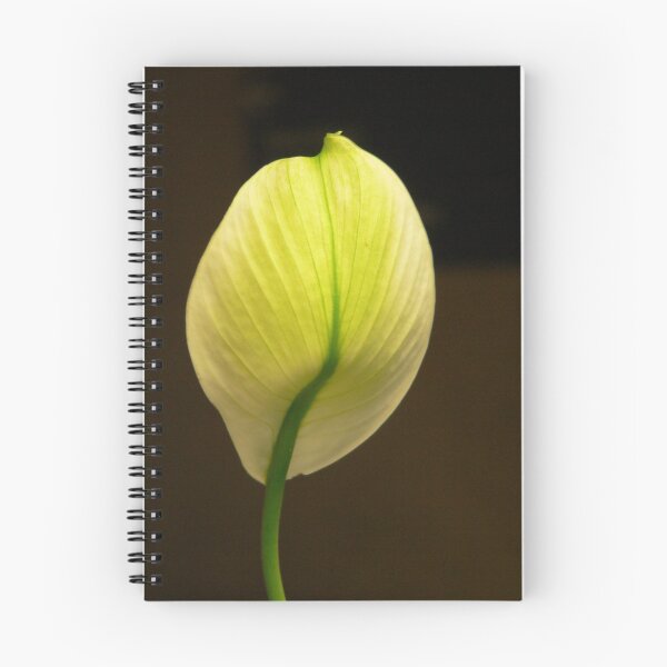 Item preview, Lily designed and sold by Elizabeth McPhee.