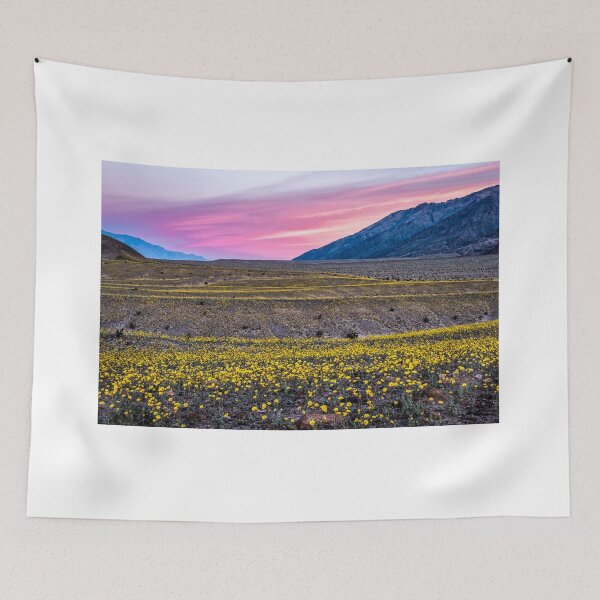 Item preview, Desert Super Bloom 2016 designed and sold by GeorgeBuxbaum.