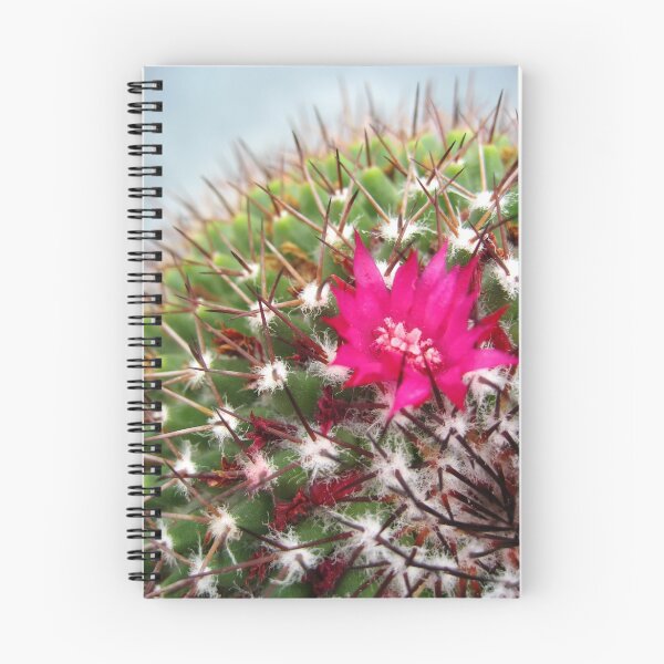 Artikelvorschau, Flowering Cactus entworfen und verkauft von Orla Cahill Photography.