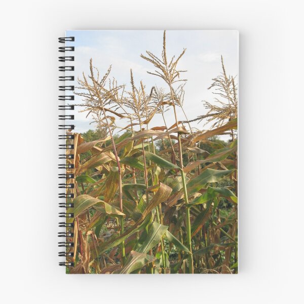 Artikelvorschau, Corn Stalks entworfen und verkauft von kenspics.