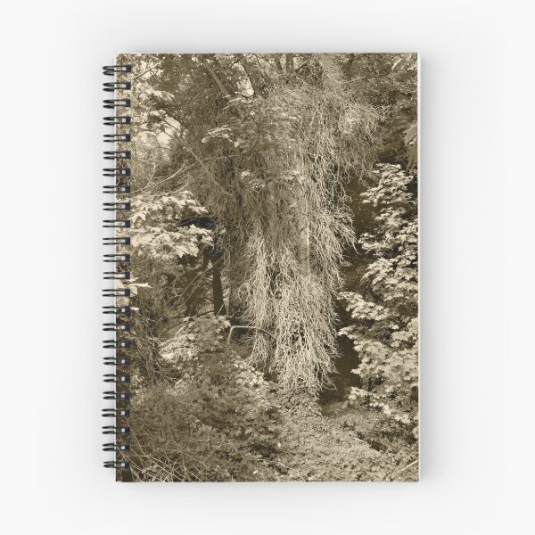Item preview, Life and Death In The Forest--Sepia designed and sold by Jess Mo.