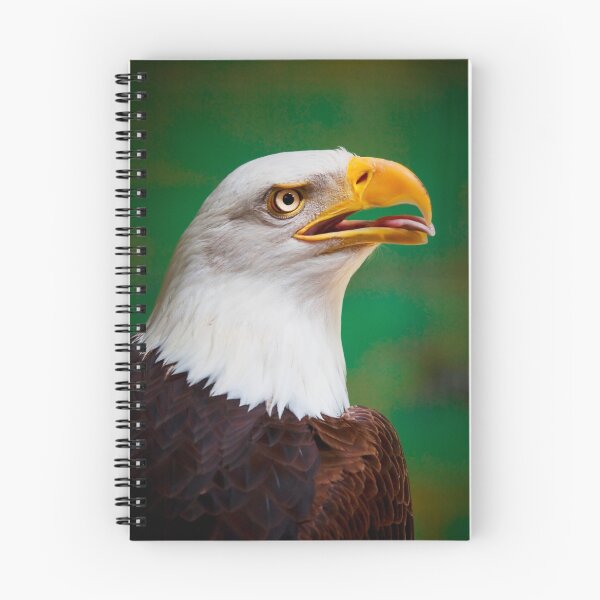 Artikelvorschau, Bald Eagle entworfen und verkauft von Stuart Robertson Reynolds.