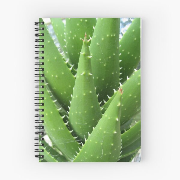 Item preview, Toothed Cactus designed and sold by Orla Cahill Photography.