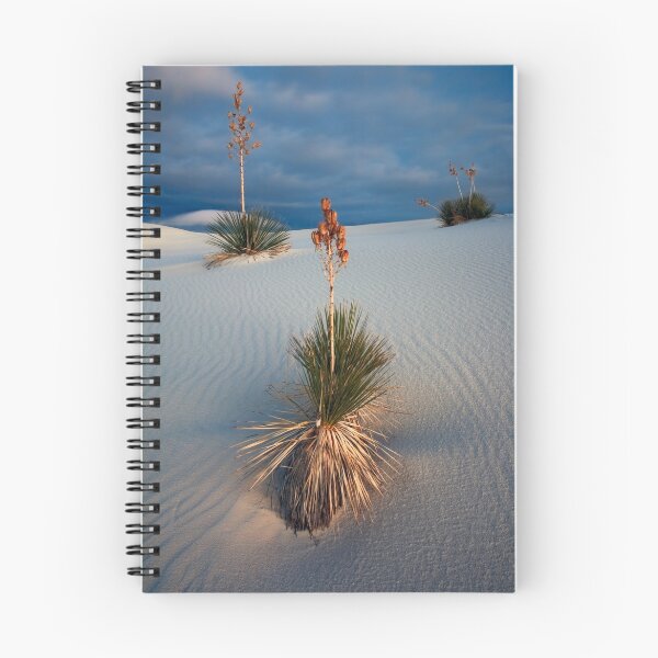 Artikelvorschau, Three Yucca's entworfen und verkauft von Dick Paige.