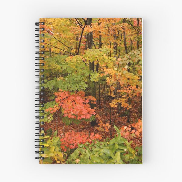 Item preview, Maple Heaven designed and sold by Gina Ruttle  (Whalegeek).