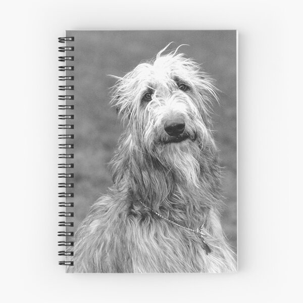 Item preview, Patrick designed and sold by Robin Nellist.