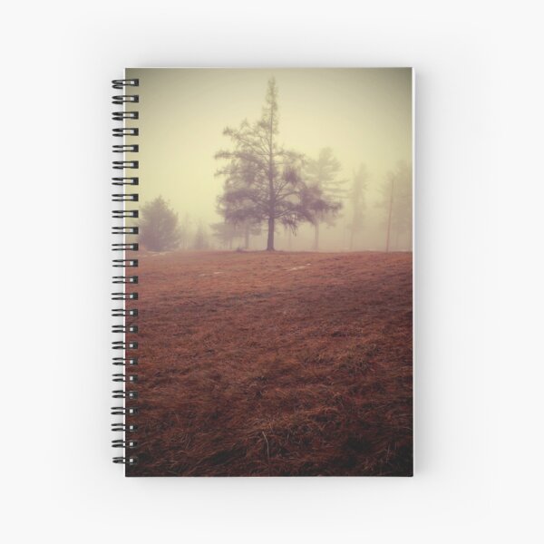 imperfection Spiral Notebook