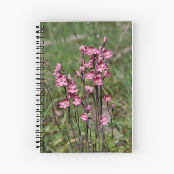 Sun Worshippers Spiral Notebook
