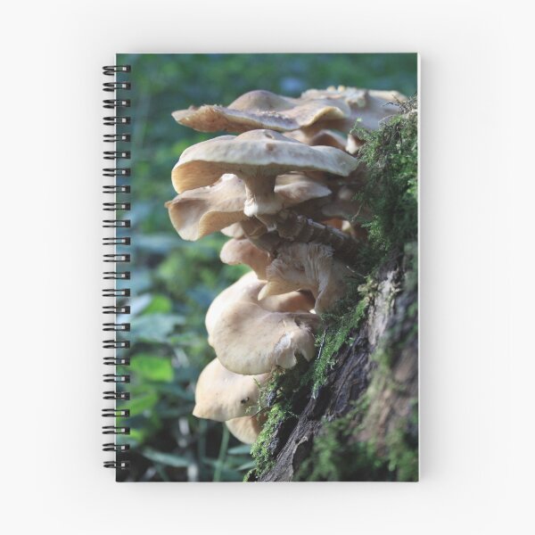 Item preview, Mushroom tree designed and sold by PeterBez.