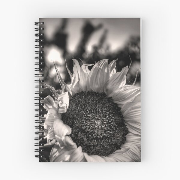Item preview, Colourless Beauty designed and sold by Alan Watt.