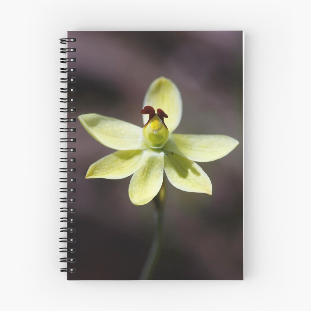Aperçu de l'œuvre Cahier à spirale créée et vendue par ppiko.