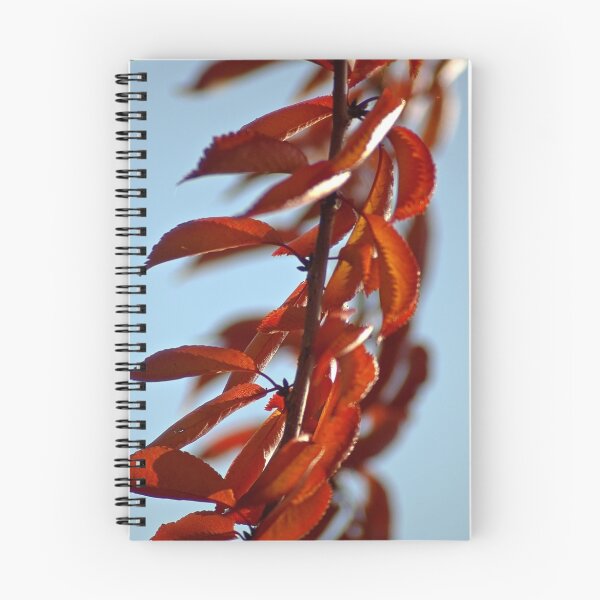 Item preview, Autumn colour designed and sold by Steve plowman.