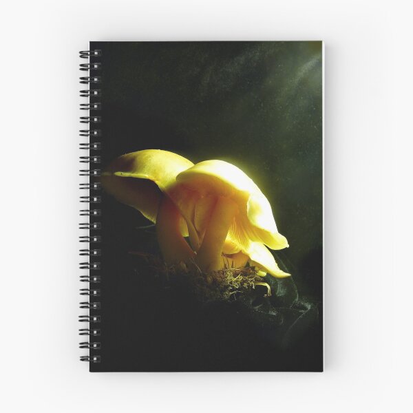 Item preview, ...and on the 3rd day........ designed and sold by Carla Wick/Jandelle Petters.