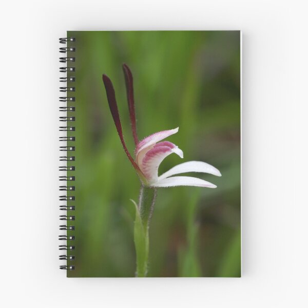 Item preview, Hare Orchid designed and sold by LeeoPhotography.