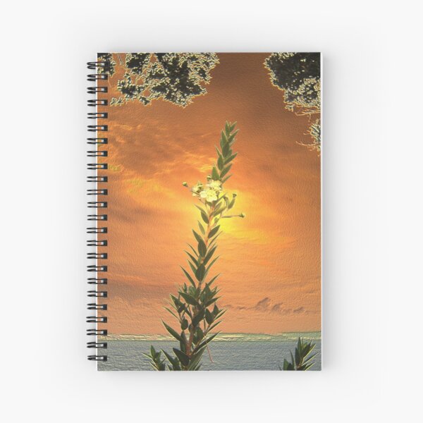 GOLDEN DAWN Spiral Notebook