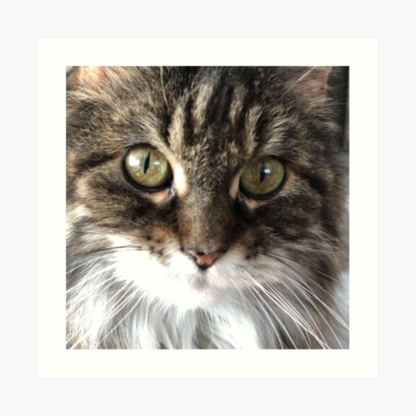 Eyes Looking at You Art Print