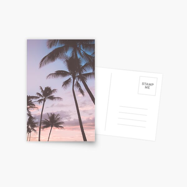 Pastel Palm Trees Postcard