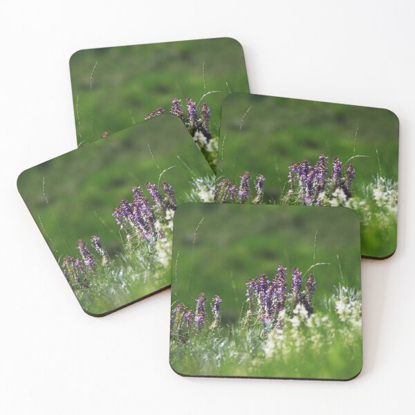 Item preview, Bird Vetch designed and sold by Alyce Taylor.