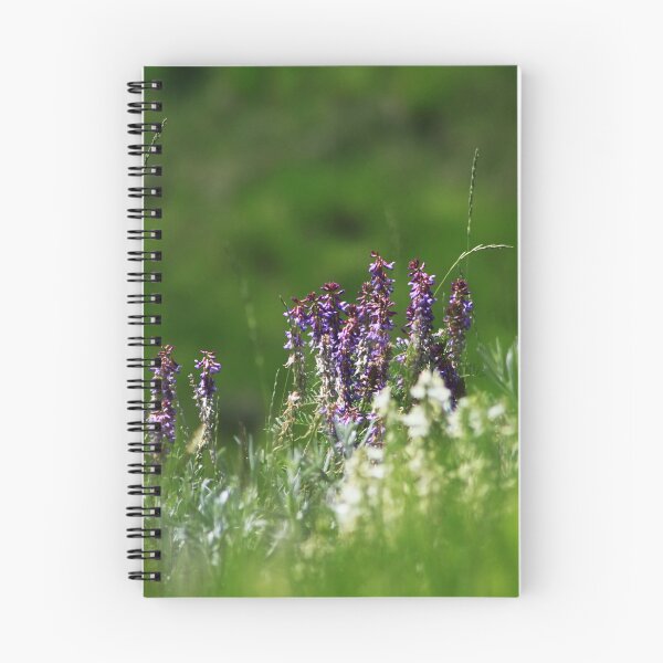 Item preview, Bird Vetch designed and sold by Alyce Taylor.