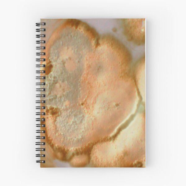 Item preview, Mouldy face designed and sold by scara24.