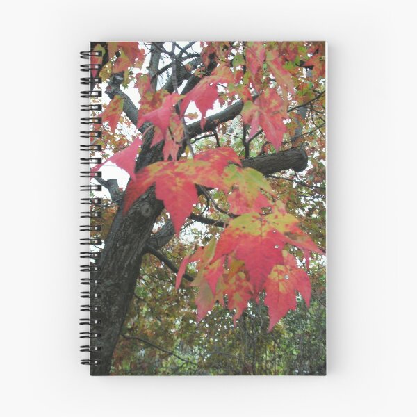 Item preview, Velvet Maples designed and sold by linmarie.