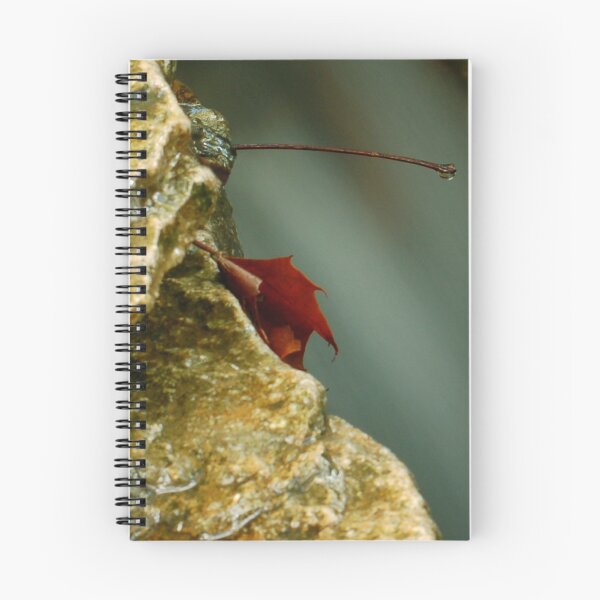 Item preview, Capture designed and sold by ckroeger.