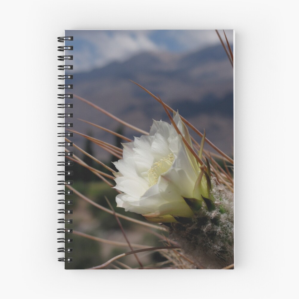Item preview, Spiral Notebook designed and sold by bazington.