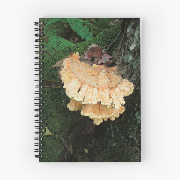 Item preview, Carmel Fungi-02 designed and sold by linmarie.